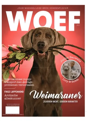 Woef - 721 2024 -