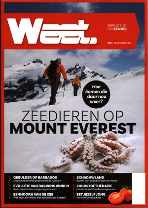 Weet Magazine - 90 2024 -