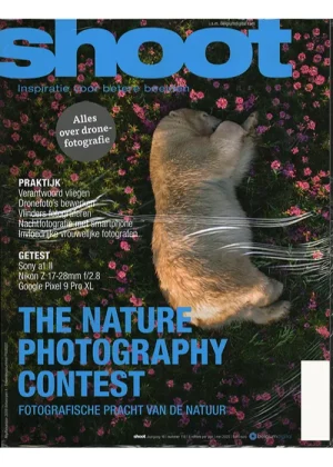 Shoot - 118 2025 -