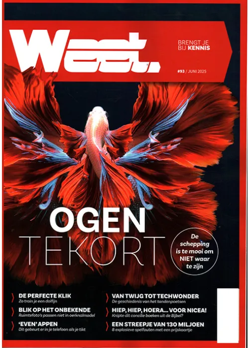 Weet Magazine - 93 2025 -