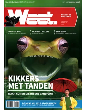 Weet Magazine - 79 2023 -