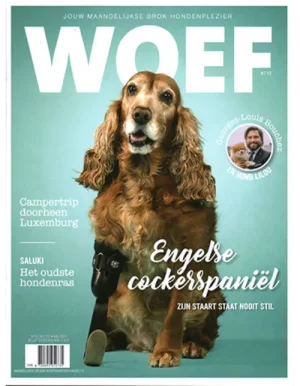 Woef - 712 2023 -