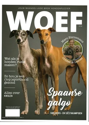 Woef - 728 2024 -