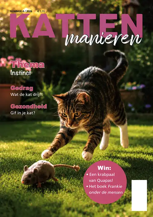 Kattenmanieren - 04 2026 -
